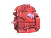 Spot enveloping worm reducer / TPS