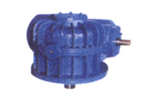 Enveloping worm reducer TPS