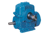 Enveloping worm reducer PWU