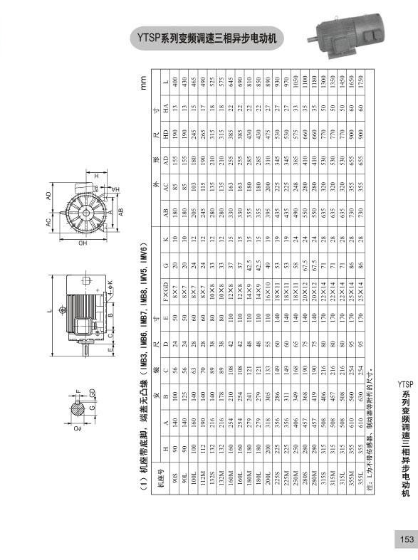 YTSP-6.jpg