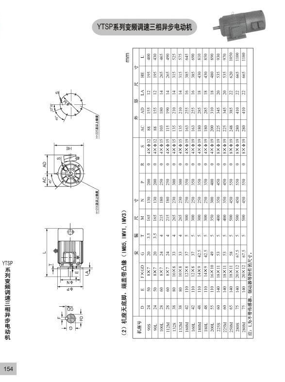 YTSP-7.jpg